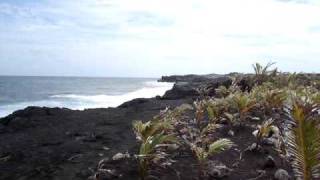 Kalapana Black Sands Beach [upl. by Weitman]