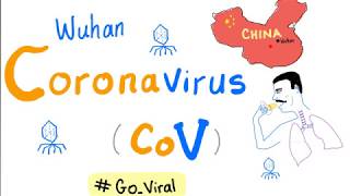 Novel Coronavirus 2019 nCoV 🦠 Outbreak 😷 Update  1 COVID19 [upl. by Eenafit]