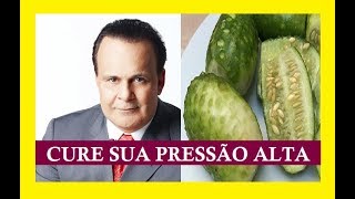 Dr Lair Ribeiro Ensina Como Curar a Pressão Alta e Regular Seu Colesterol [upl. by Enar]