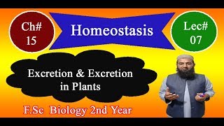 Biology Ch15Lecture07 Excretion and Excretion in Plants FSc 2nd Year [upl. by Maxwell]