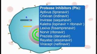 How ARVs Work Part 3 of 3 [upl. by Brookes]