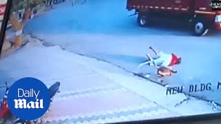 Menacing monkeys attack residents in an Indian village  Daily Mail [upl. by Alma802]