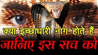 क्या इच्छाधारी नाग होते हैं जानिए इस सच को What is Ichchadhari Nagin [upl. by Arzed893]