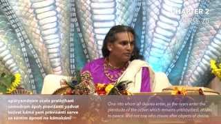 Shreemad Bhagavad Gita Verse 270  Sri Swami Vishwananda [upl. by Haelahk174]