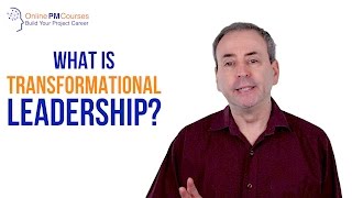 What is Transformational Leadership Beyond DaytoDay Leadership [upl. by Eissirc]