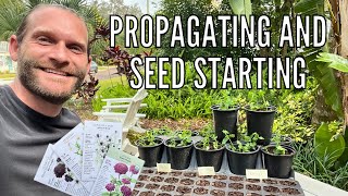 How to Propagate Verbena from Cuttings  Starting Spring Flowers Seeds [upl. by Nnylyar838]