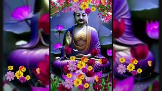 🍁🍁 Buddham Saranam Gacchami 🍁🍁Feeling Calm  Buddha  Meditation [upl. by Eirrehc27]