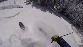 Skiing Red Mountain February 2018  30cm Fresh Powder [upl. by Galer]