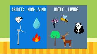 Environmental Science Lesson 9 Community Ecology [upl. by Katharyn75]