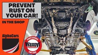 Add Value to Your Car With a Waxoyl Undercoating  Subaru Outback [upl. by Phyllida]