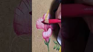 Colored pencil drawing artshorts art flowers [upl. by Seidnac870]