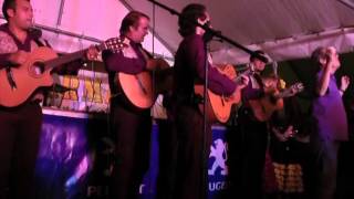 Gitano Family Misirlou live [upl. by Querida]