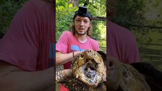 The Worlds Most Dangerous Turtle 🐢youtubeshorts shorts [upl. by Yanad]