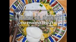 Reteta ciulama de ciuperci cu mamaliguta  Bucatarialuiradu [upl. by Alakam64]