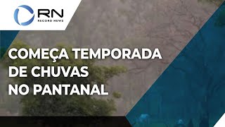 Pantanal registra chuva após 8 meses de seca [upl. by Joab]