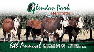 Glendan Park 2019 Bull Sale Preview [upl. by Olfe304]