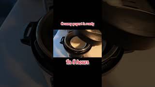 Easy yogurt recipe in Instant Pot [upl. by Einnaoj]