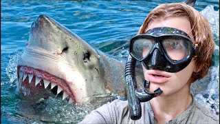 Diving with GreatWhite Sharks in South AUSTRALIA [upl. by Enomes]