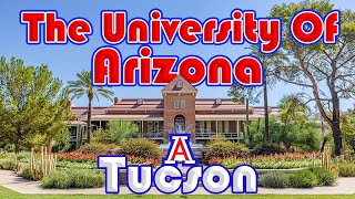 Tucson Arizona  The University of Arizona in Tucson AZ [upl. by Acceb773]