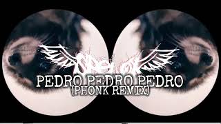 PEDRO PEDRO PEDRO Phonk Remix [upl. by Isle964]