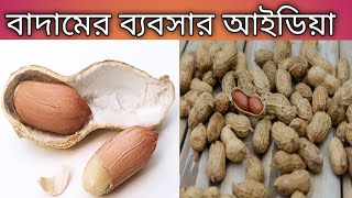 বাদামের ব্যবসার আইডিয়া Badam bepsa idea peanut business [upl. by Hplodnar]