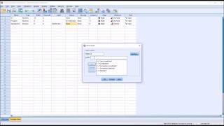 Entering Likert Scale Data into SPSS [upl. by Enenstein]