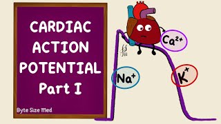 Ventricular Action Potential  Cardiac Action Potential  Part 1  Phases  Cardiac Physiology [upl. by Arza589]