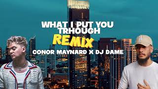 Dj Dame  What I Put You Through Remix  Conor Maynard  Reggaetón [upl. by Hawley]