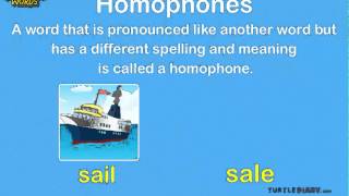 Homophones  Win This Game About Words that Sound the Same Grammar for Kids [upl. by Errot]