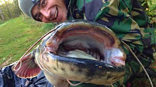 How To Catch Catfish With Boilies [upl. by Otineb]