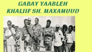 Libaax coofle Khaliif Sh Maxamuud 1981 [upl. by Olnek]