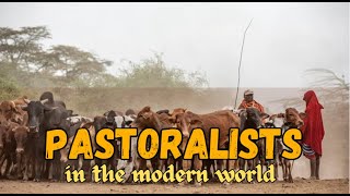 pastoralists in the modern world  Ch 5  MDS MADINA  CBSE 202425  L1 [upl. by Atteynek]