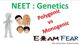 NEET Biology Genetics  Polygenic vs Monogenic Polygenic and Environment [upl. by Tacye236]