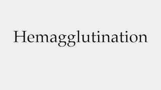 How to Pronounce Hemagglutination [upl. by Ettenna646]