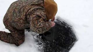 7 pound lake trout caught while icefishing [upl. by Pendleton]