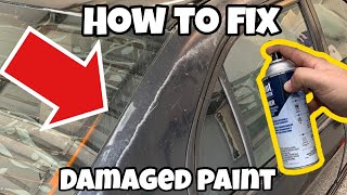 The CHEAPEST Way to Permanently Fix Peeling Paint [upl. by Novick]