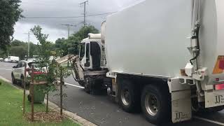 Currumbin Garbage [upl. by Temirf728]