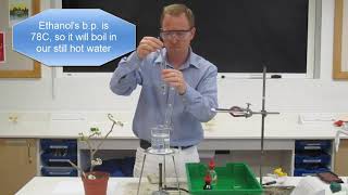 Testing a leaf for starch for IGCSE Biology [upl. by Zimmerman287]