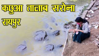 Sarona Talab Raipur  Sarona Kachhua Talab Raipur  Raipur City  Chhattisgarh  SANTU DHURWE VLOGS [upl. by Gorlin]