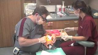 Chairside Dental Academy  Week 5  composite fillings [upl. by Heshum]