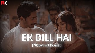 Ek Dill Hai  Slowed and Reverb  Kumar Sanu amp Alka YagnikLofi Mix 90ssong lofimusic 90shits [upl. by Rodenhouse]