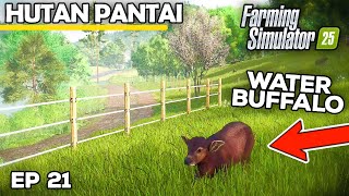 CREATING A WATER BUFFALO HAVEN  Farming Simulator 25  Hutan Pantai  Episode 21 [upl. by Inalem]