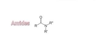 07  Amines amp Amides [upl. by Denna294]