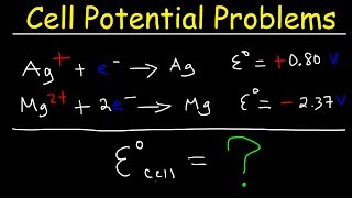 Cell Potential Problems  Electrochemistry [upl. by Care]