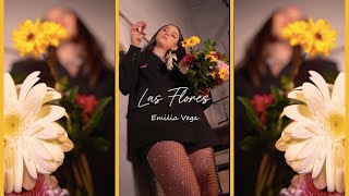 EMILIA VEGA  LAS FLORES Visualizer [upl. by Nodnarbal589]