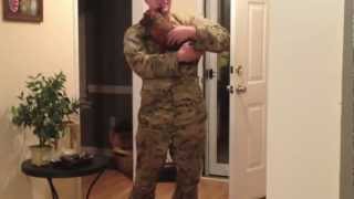 Soldier welcomed home from deployment by mini dachshund [upl. by Nuawaj]