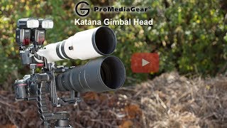 Best Gimbal Head for Action and Wildlife Telephoto Photography for Tripod [upl. by Eahc475]