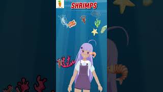 Shrimp  Engaging Sea Life Song for Kids  Cuteni Song For Kids  Animal short shrimp [upl. by Palila]