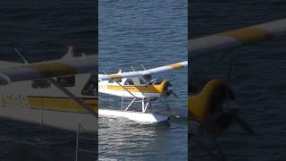 DHC2 Beaver Seaplane Takeoff [upl. by Mahala]