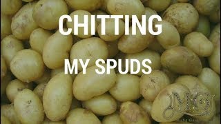 How to Chit Potatoes [upl. by Ennaul]